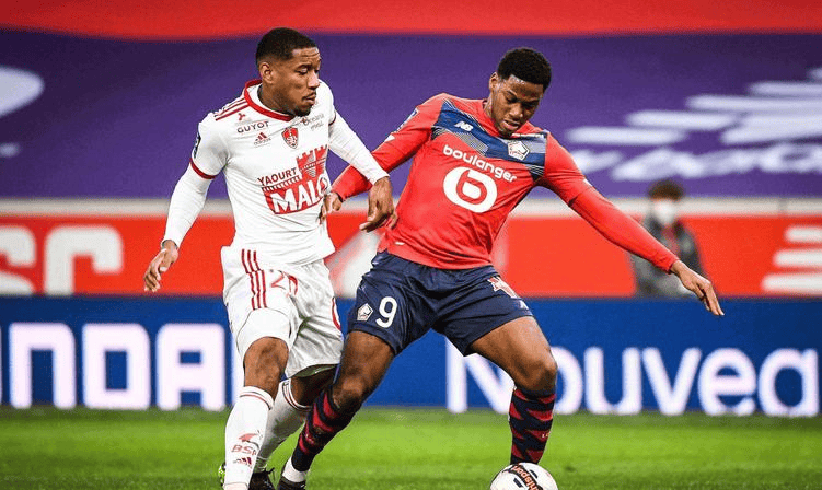 素的考量 素的考量